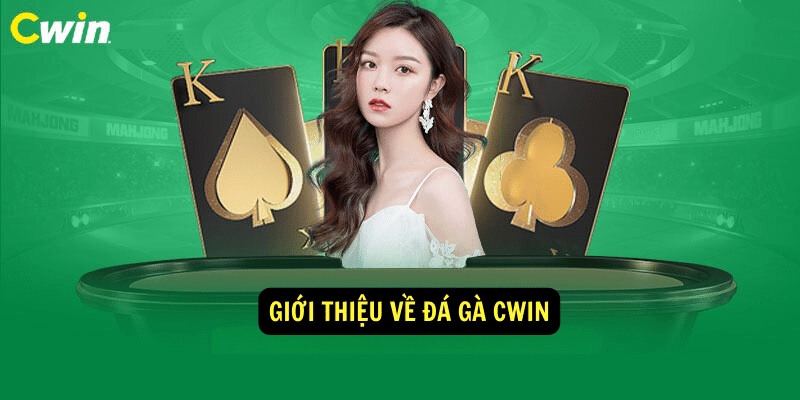 Giới thiệu sàn cá cược đá gà Cwin
