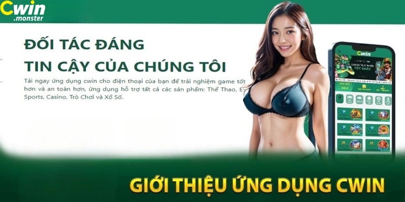 Giới thiệu chung về ứng dụng Cwin