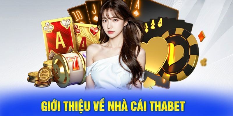 Sơ bộ về trang cược đẳng cấp Thabet