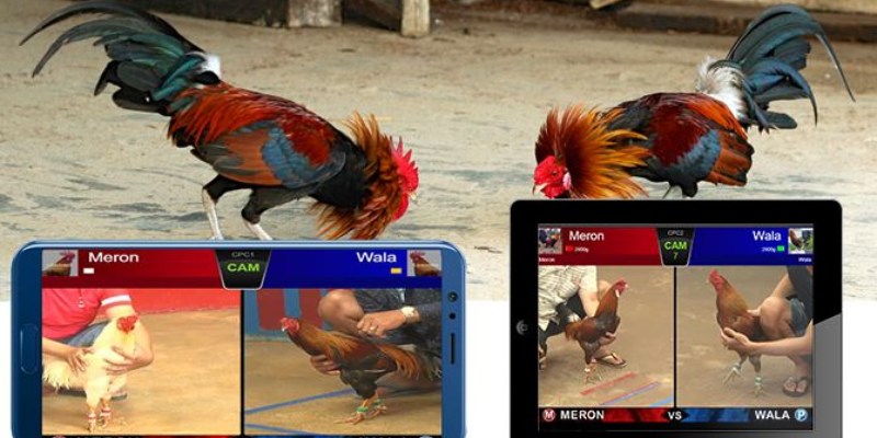 Luật chơi cá cược cơ bản tại 78WIN